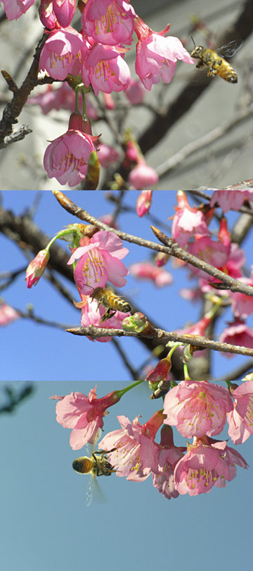 今日も残念・・ 今日も残念・・