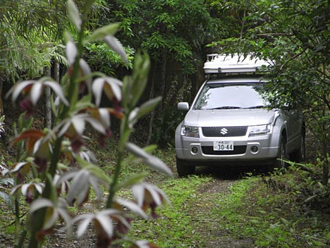 4代目エスクード 4代目エスクード