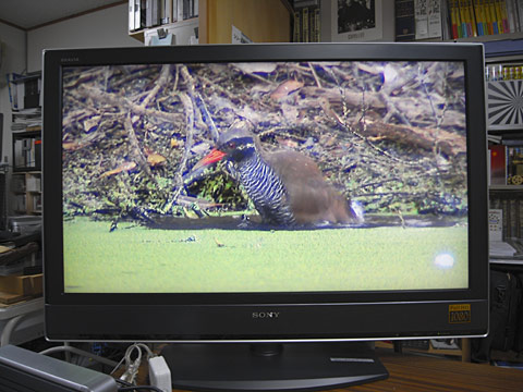 40インチフルハイビジョンTV 40インチフルハイビジョンTV