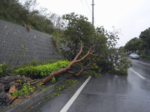 台風4号被害 台風4号被害