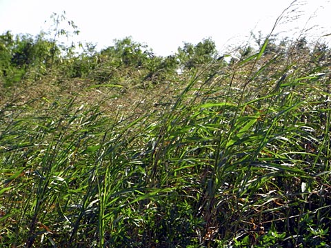 台風余波 台風余波