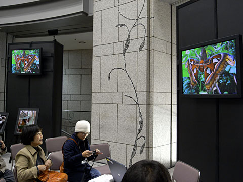 photoGRaph100 photoGRaph100