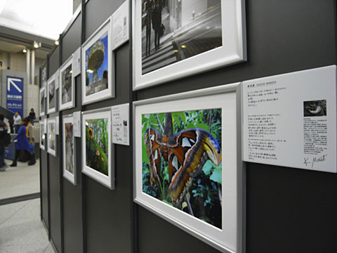 photoGRaph100 photoGRaph100