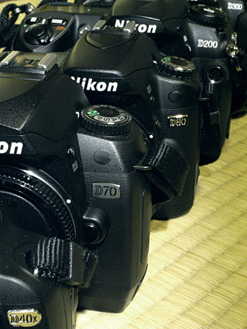 NikonD40X/D70/D80/D200/D300