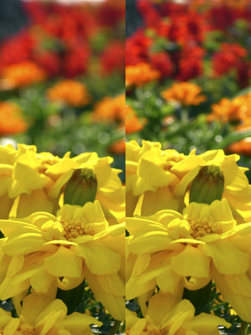 被写界深度テスト F5.2(左)F9.4(右) 被写界深度テスト F5.2(左)F9.4(右)