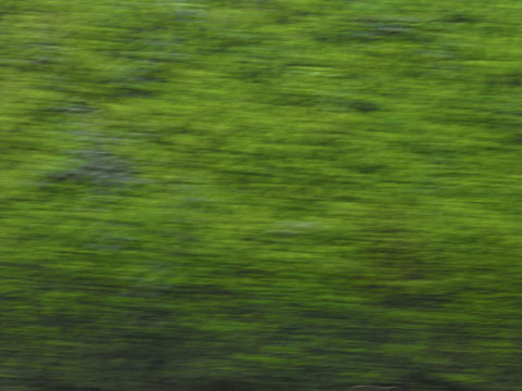 車窓の緑
