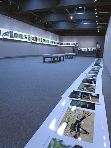 写真展撤収作業