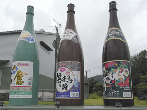 黒糖酒のディスプレイ