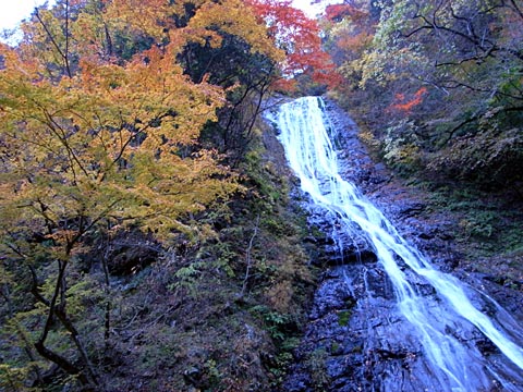 紅葉と滝 紅葉と滝