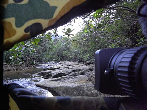 撮影ブラインド