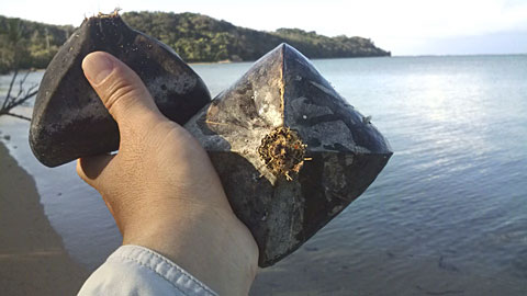 ゴバンノアシ実