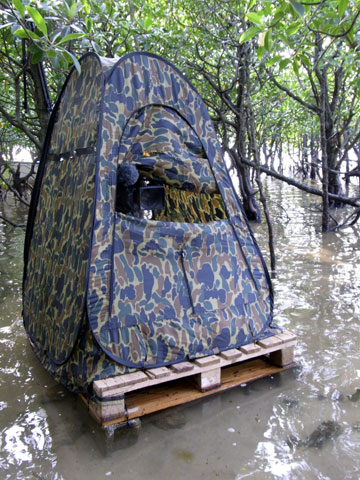 撮影用ブラインド