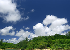 石垣島轟川河口