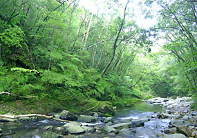 ハラマタ川上流環境