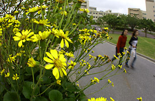 琉球大学構内にてテスト撮影
