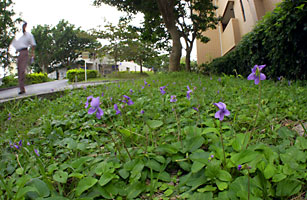 琉球大学構内にてテスト撮影