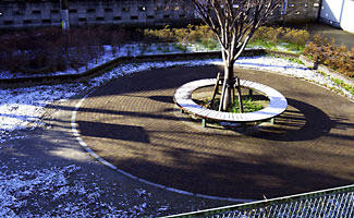 2日の東京うっすら雪化粧