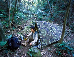 座津武川源流部で