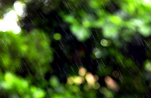 土砂降りの春分