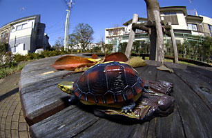 デジタル専用魚眼レンズテスト撮影 デジタル専用魚眼レンズテスト撮影