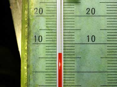 今朝の山原渓流環境の気温