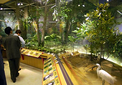 オープンした東村立「山と水の生活博物館」