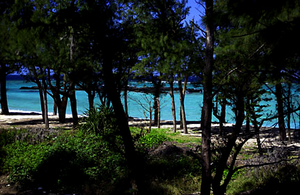 沖縄本島北部恩納村内の海