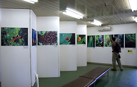 さらくら市民ギャラリー写真展会場 さらくら市民ギャラリー写真展会場