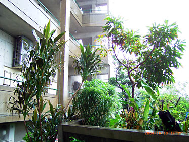 一時風雨の収まった沖縄本島中部 一時風雨の収まった沖縄本島中部