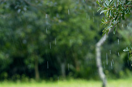 雨、雨、雨・・・