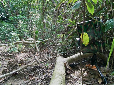 自動撮影カメラ3号 自動撮影カメラ3号