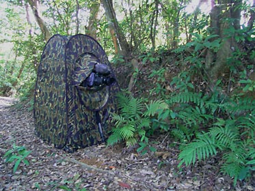 撮影用迷彩ブラインド 撮影用迷彩ブラインド