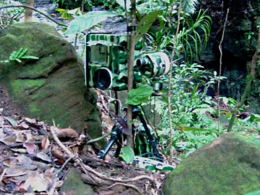 自動撮影カメラ1号 自動撮影カメラ1号