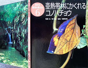 新刊『亜熱帯林にかくれるコノハチョウ』 新刊『亜熱帯林にかくれるコノハチョウ』