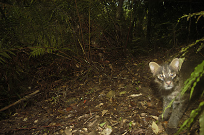 もうちょっと・・ もうちょっと・・