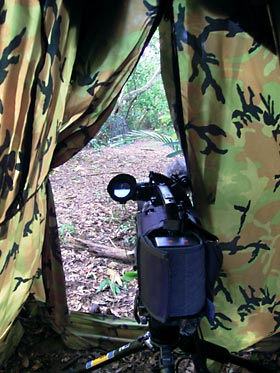 テントからテントを狙う テントからテントを狙う