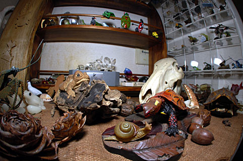 某生き物ミュジアム 某生き物ミュジアム