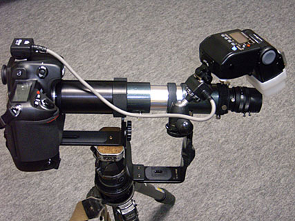 虫の眼レンズ 虫の眼レンズ