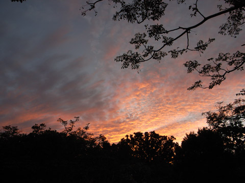 夕焼け 夕焼け