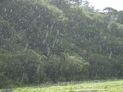 雨 雨