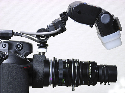 虫の眼レンズ改良タイプIII 虫の眼レンズ改良タイプIII