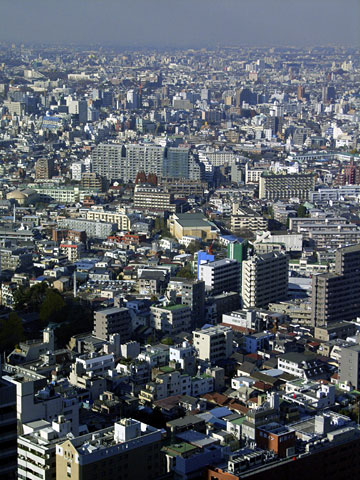 新宿センタービル39階から