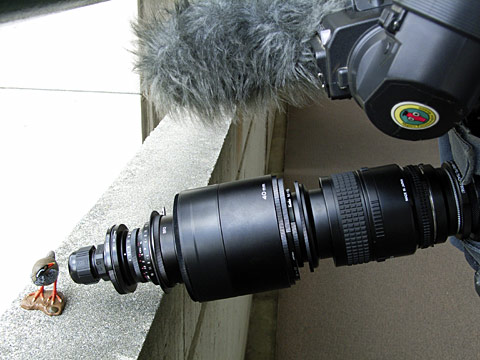 最新型業務用ビデオ版正像虫の眼レンズ